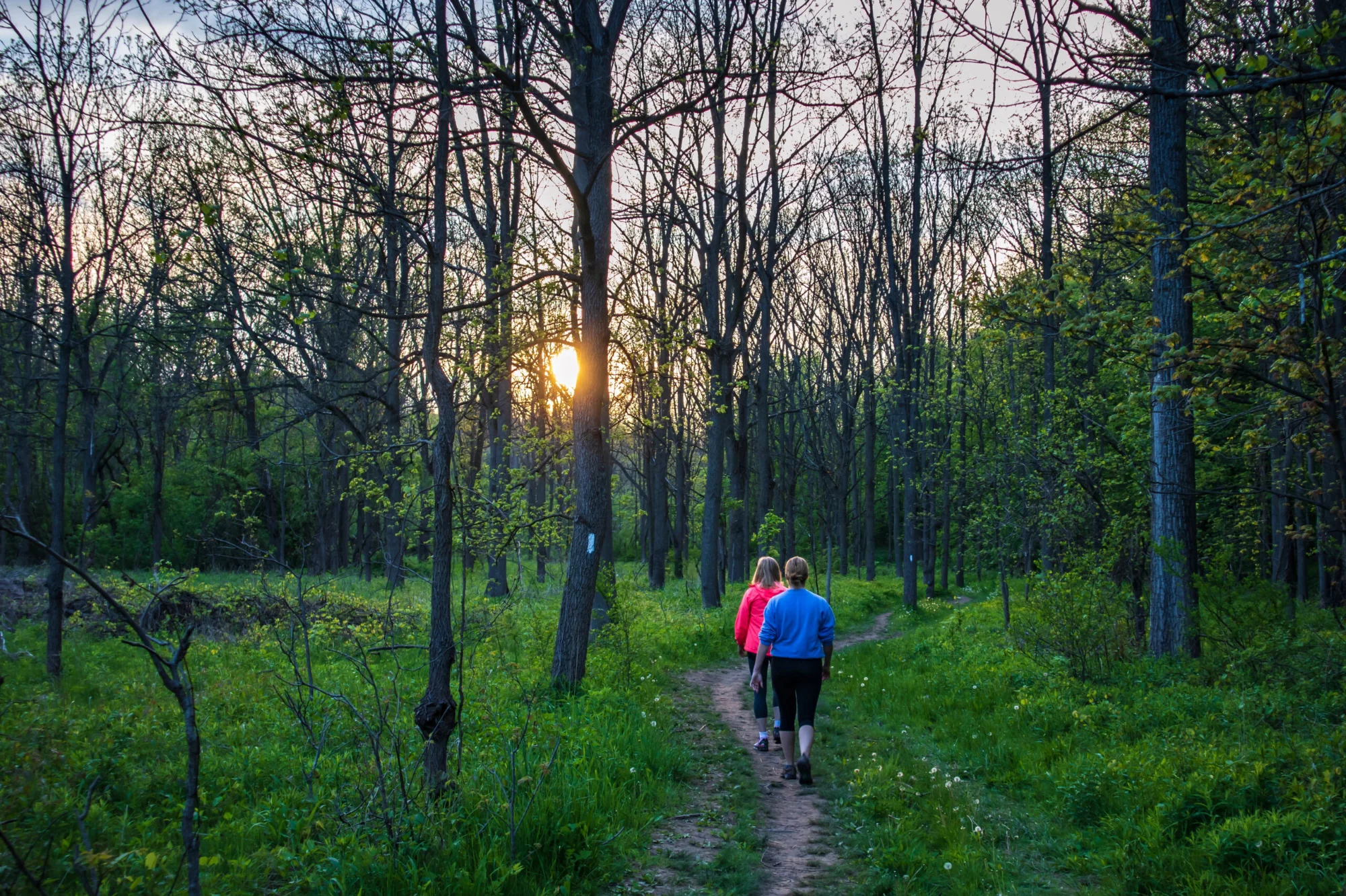 Rooted Walks and Nature Meetups